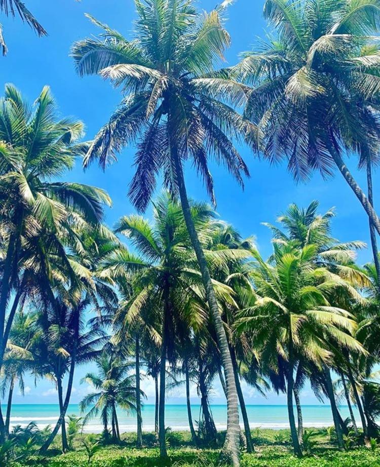 Pousada Divino Milagre Passo de Camarajibe Bagian luar foto