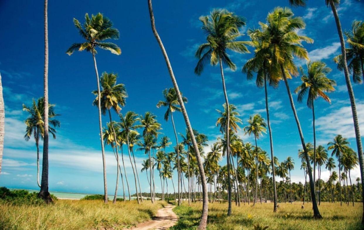 Pousada Divino Milagre Passo de Camarajibe Bagian luar foto
